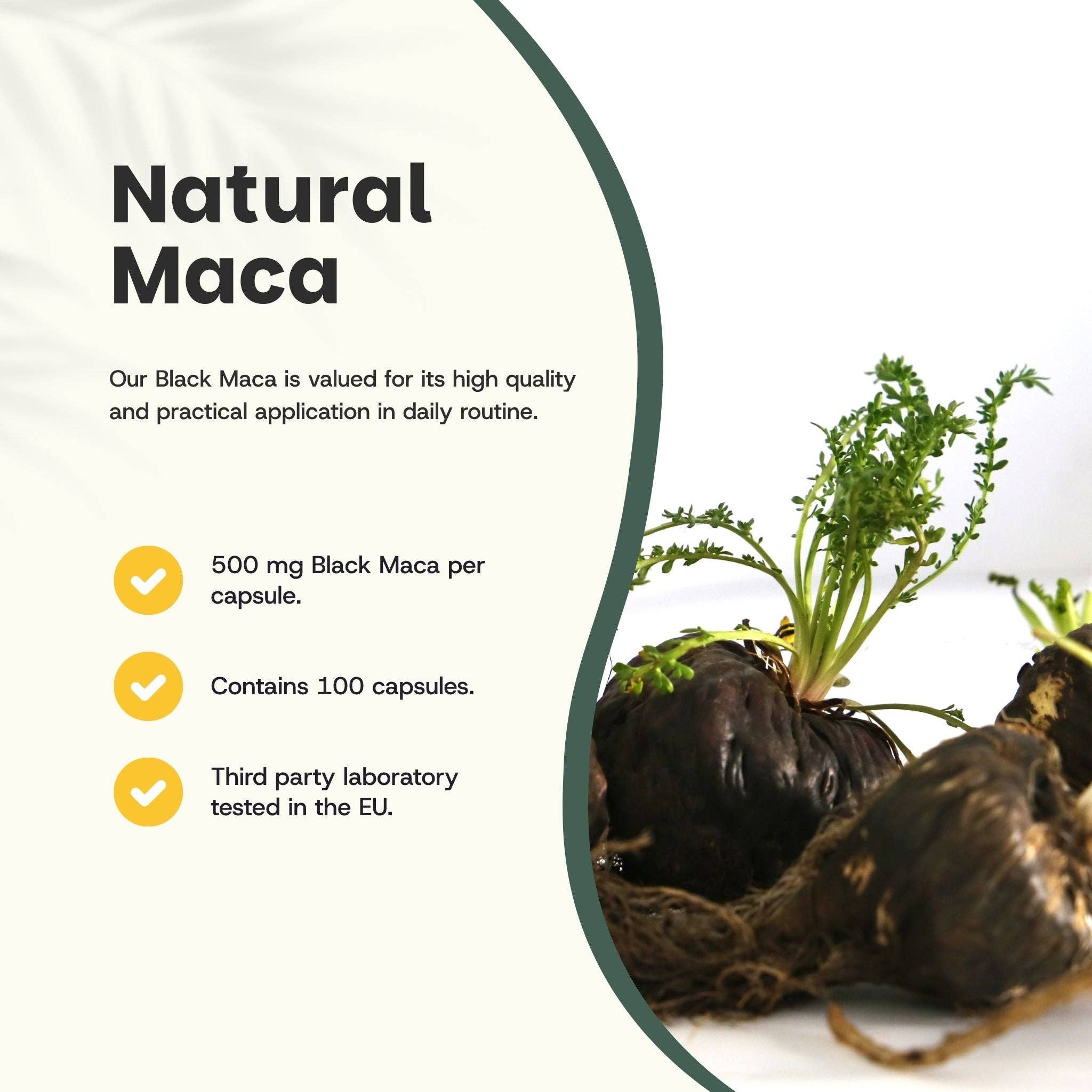 Cupplement b.v. - Vente Supplément oral/vitamine - Gélules de Maca Noire 500mg Bio 100 Gélules1