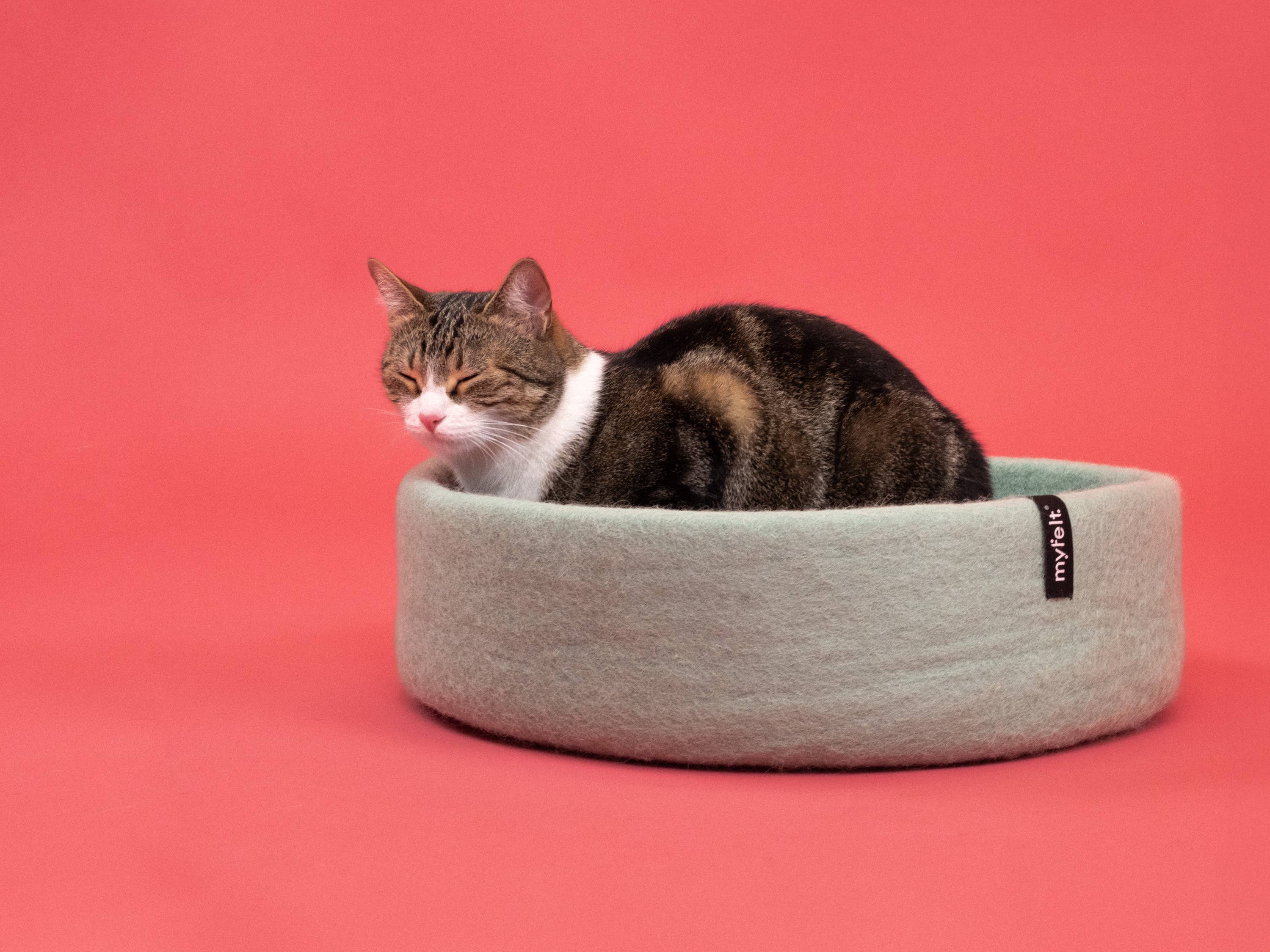 myfelt - Wholesale Pet Bed - Cat/Dog - Fine cat basket - Inlay brown2
