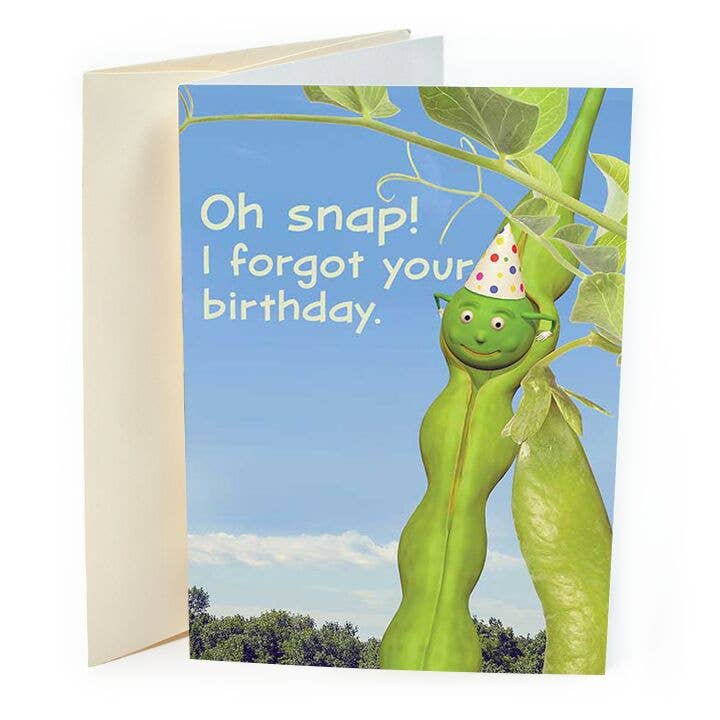 ¡Oh, Snap! Olvidé tu cumpleaños. para venta al por mayor de St Thomas Greetings