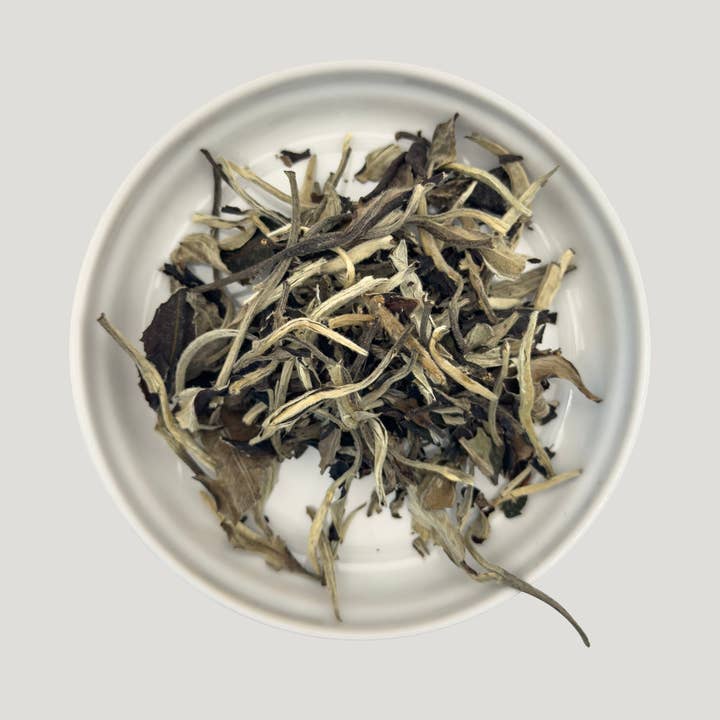 Moonlight White: Loose Leaf White Tea for wholesale by White Noise Tea