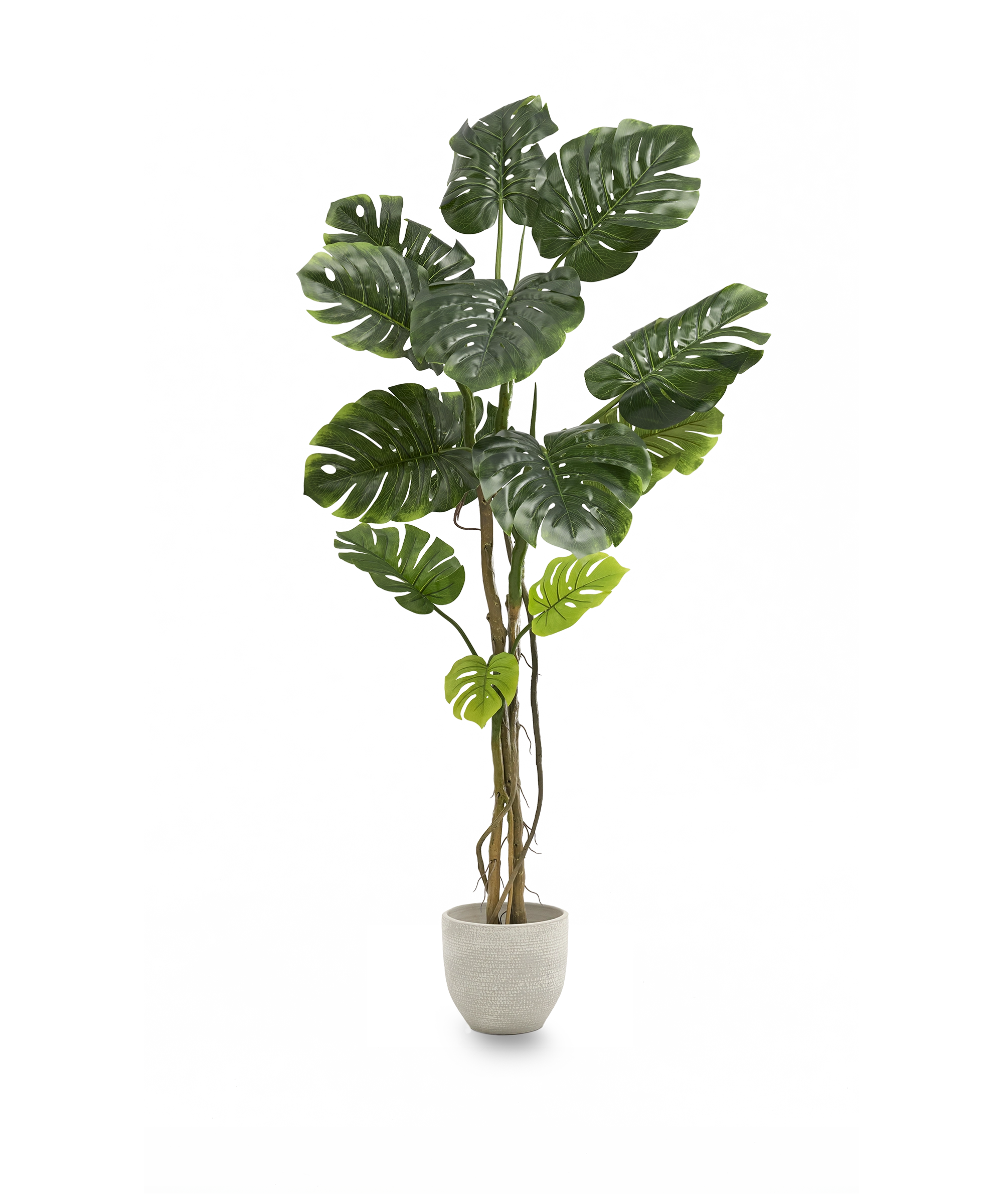 Maia Shop – Engroshandel Kunstig plante – Kunstig Monstera5