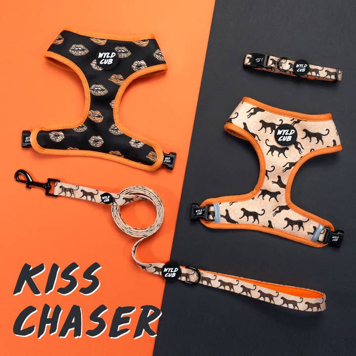 WYLD CUB – wholesale Pet leash – Dog – Kiss Chaser: Dog Lead9