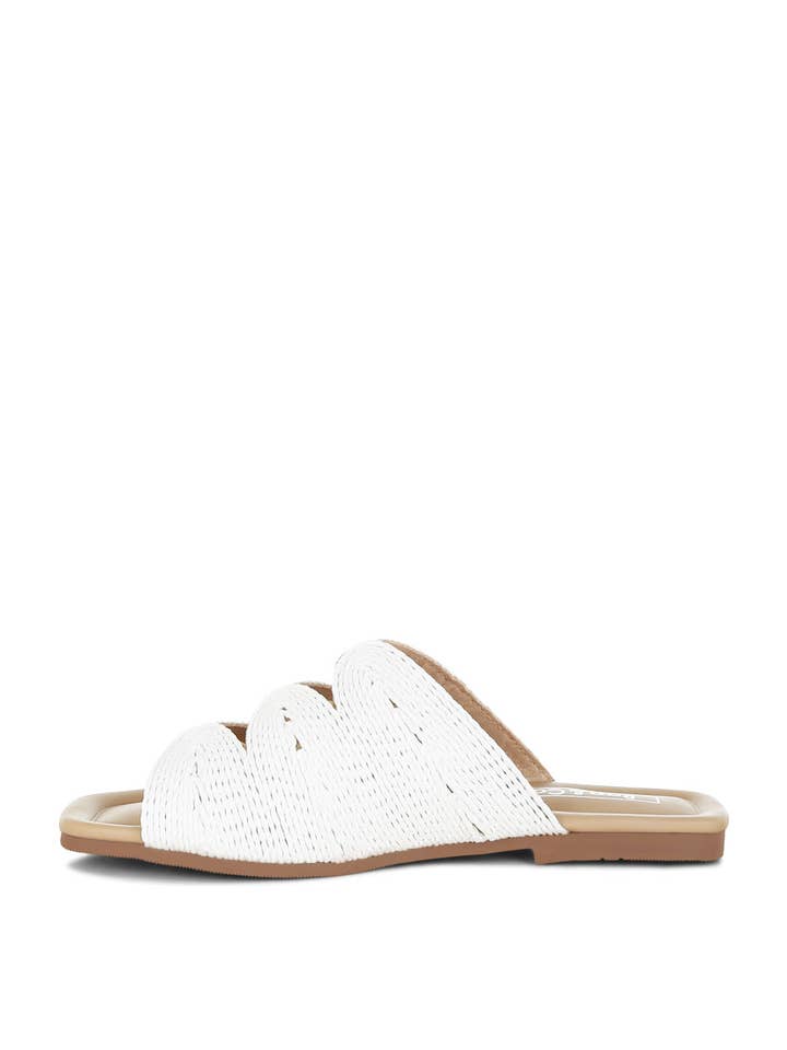 Rag Company - Wholesale Sandals - Women's - Daisy Doe Raffia Square Toe Flats16