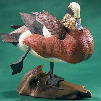 Natures Window - Wholesale Decorative Figurine - American Wigeon Limited Edition Decoy0