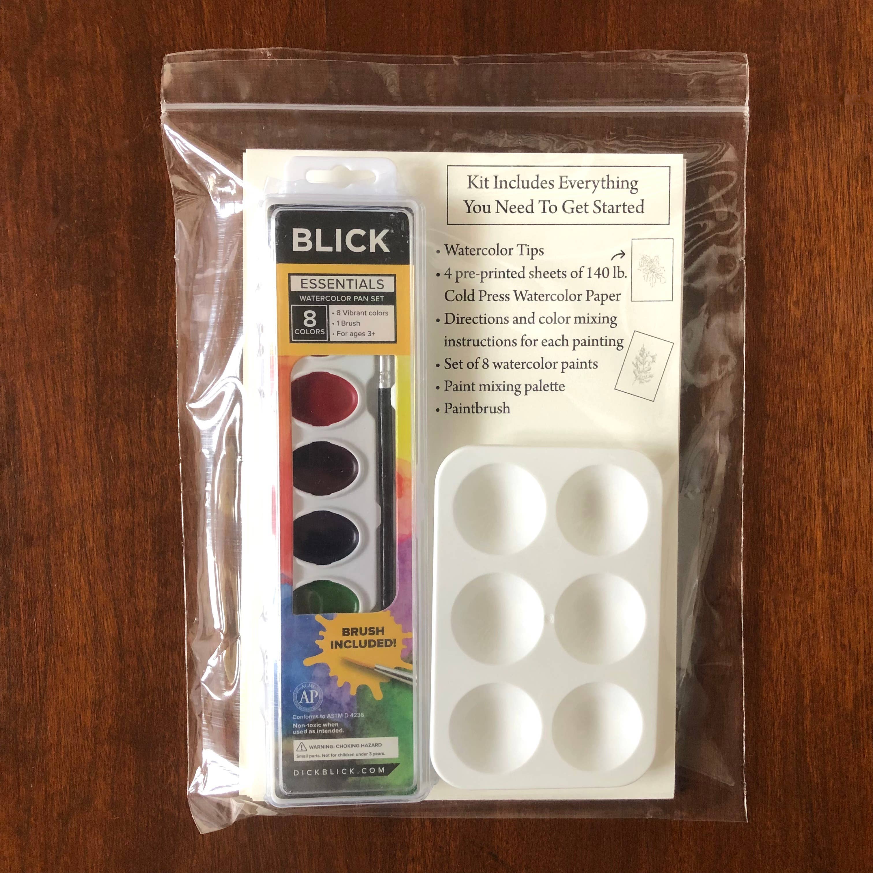 meoMADE - Wholesale DIY Craft Kit - Winter Botanicals - Watercolor Painting Kit4