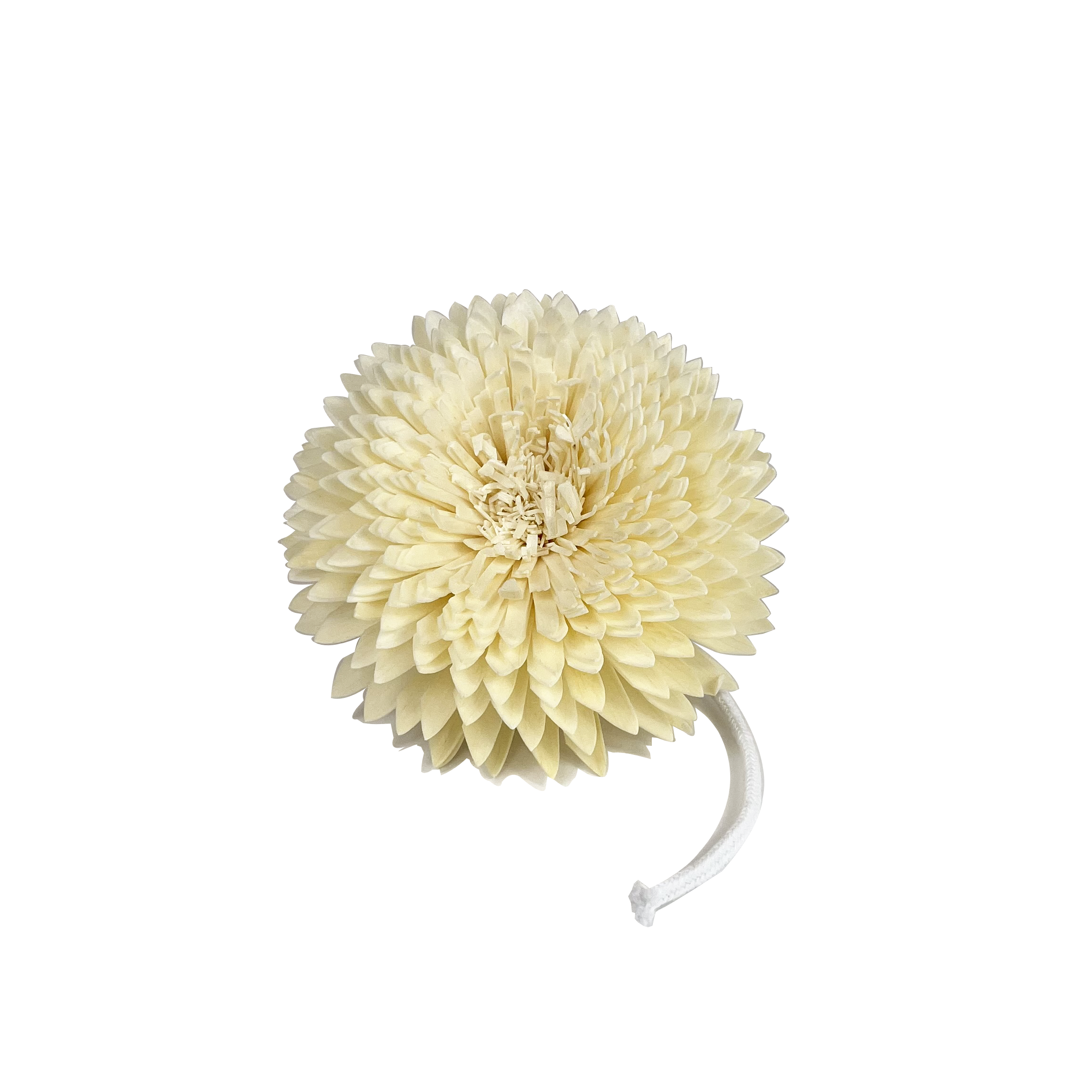 Heaven Scent Incense Ltd - Wholesale Reed Diffuser - 12cm Chrysanthemum Sola Diffuser Flower1