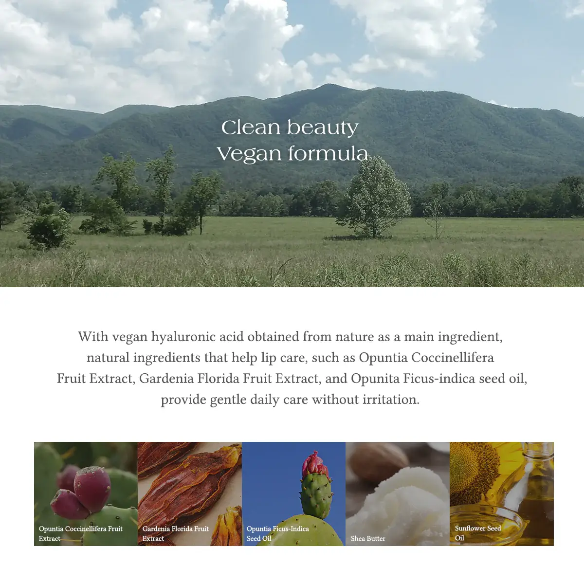 Kosmic - Kbeauty Skincare - Vendita all'ingrosso Burro di cacao - [Dr.Althea] Balsamo labbra fresco morbido e fondente 3,2 g7