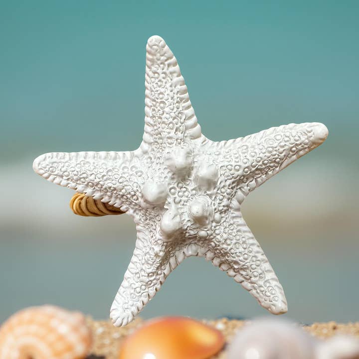 Seabreeze Oyster Shell Napkin Ring for wholesale by Shell Yeah By Jaks LLC