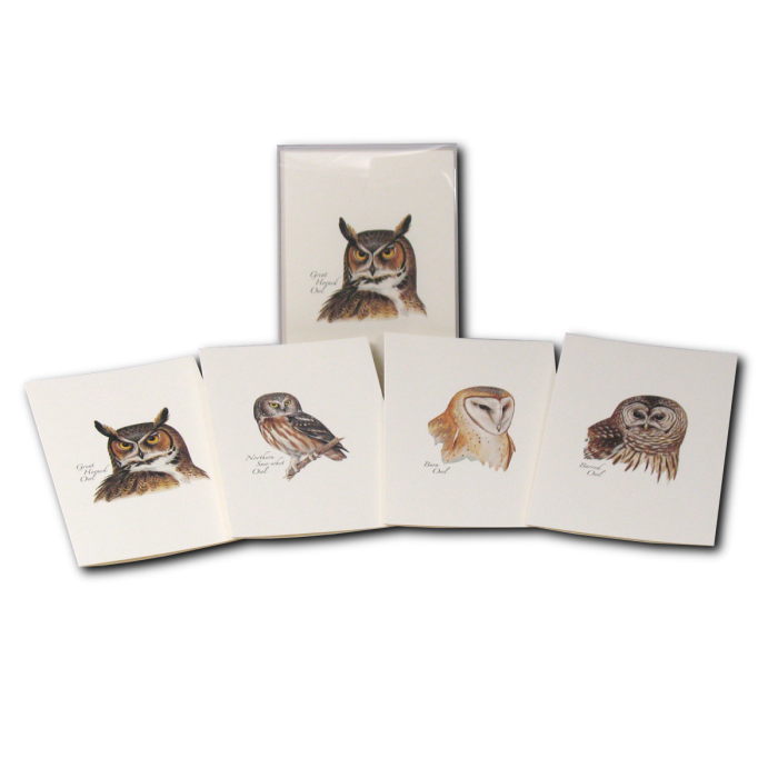 Earth Sky + Water - Wholesale Stationery/Notecard Set - Peterson's Owl Assortment5