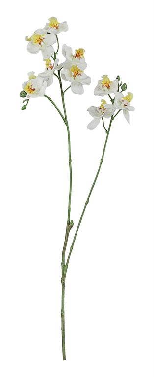 Select Artificials, Inc. - Vente Fleurs artificielles - Mini orchidée Phalaenopsis réaliste X2 avec 11 fleurs