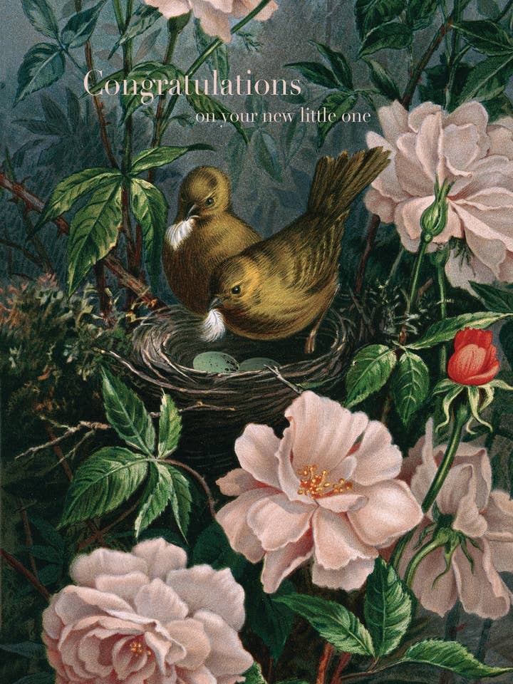 Congratulations On Your New • 5x7 Greeting Card for wholesale by P. Flynn Design / Phun House