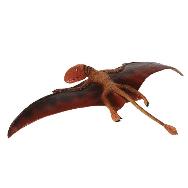 Safari Ltd. - Wholesale Figurine Toy - Kids - Dimorphodon - 304729