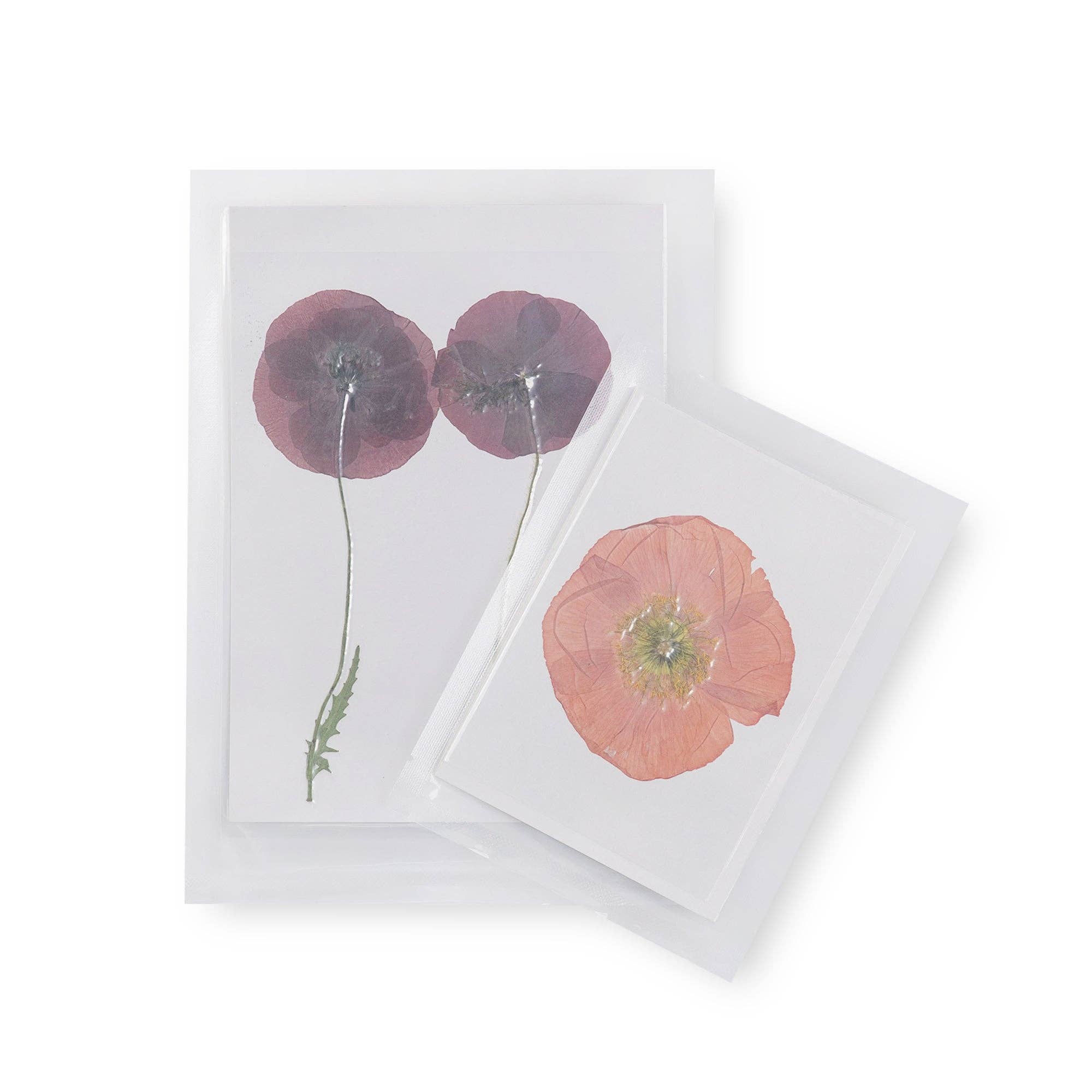 Sugarboo & Co - Wholesale Art Print - Pressed Poppy Collection- Assorted Set Of 12