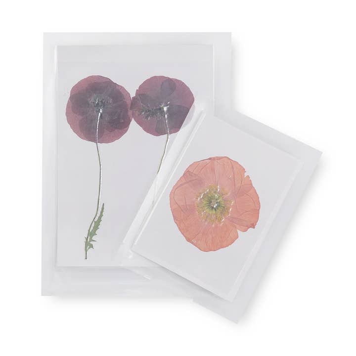 Collection Pressed Poppy - Ensemble Assorti de 12 pour la vente par Sugarboo & Co