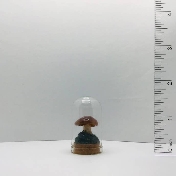 The Fungus Farm - Wholesale Sculpture - Real Mushroom Curiosity Glass Jar 1.75" Fungi Oddity # 1971
