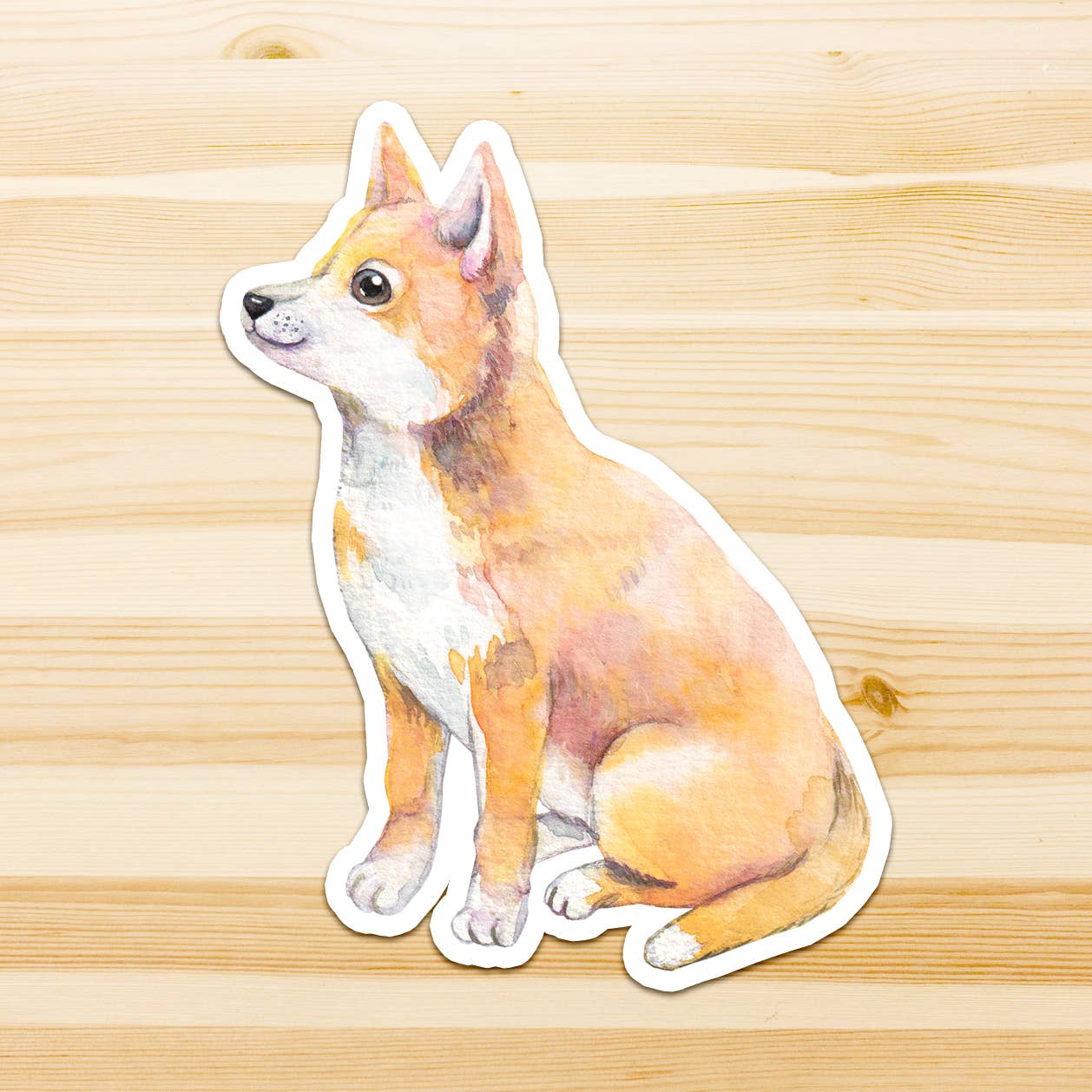 Watercolour By Cat - Wholesale Sticker - Large Australian Animal Vinyl Sticker17