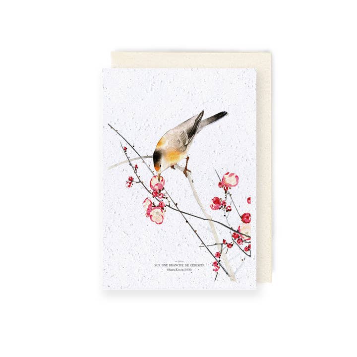 Plant card - Cherry branch for wholesale by Papier Fleur