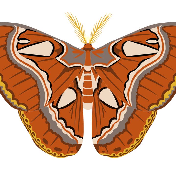 Oranje mottensticker voor wholesale door The Good Boy Collective