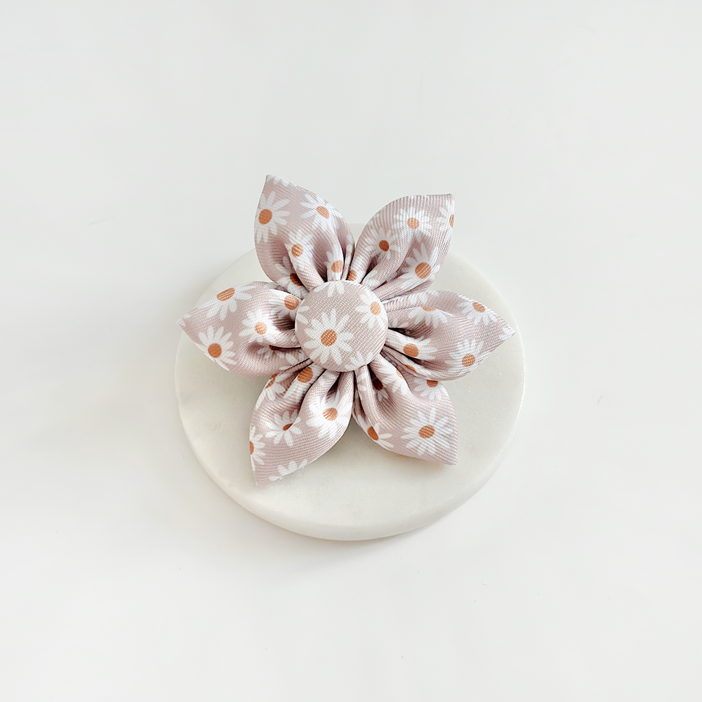 Cocopup London – wholesale Pet collar – Dog – Daisy Chain Collar Flower0