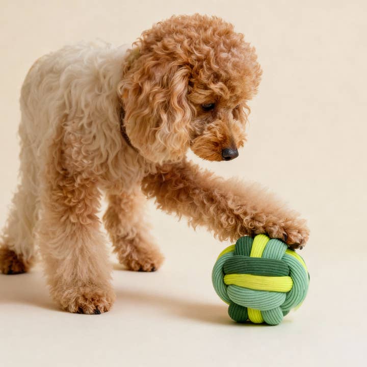 DER DREHBARE BALL for wholesale by lumiies - high visibility