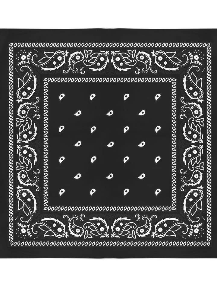 24 Pack Cotton Bandanas Paisley - 22 Inches for wholesale by Bandanas Wholesale