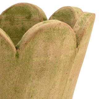 Botanical Collections - Wholesale Plant Pot - Surrey #2 - Set of 47