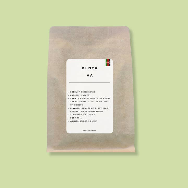 United Beans Coffee Roastery - Wholesale Coffee Beans - Specialty Green Coffee Beans | Kenya AA2