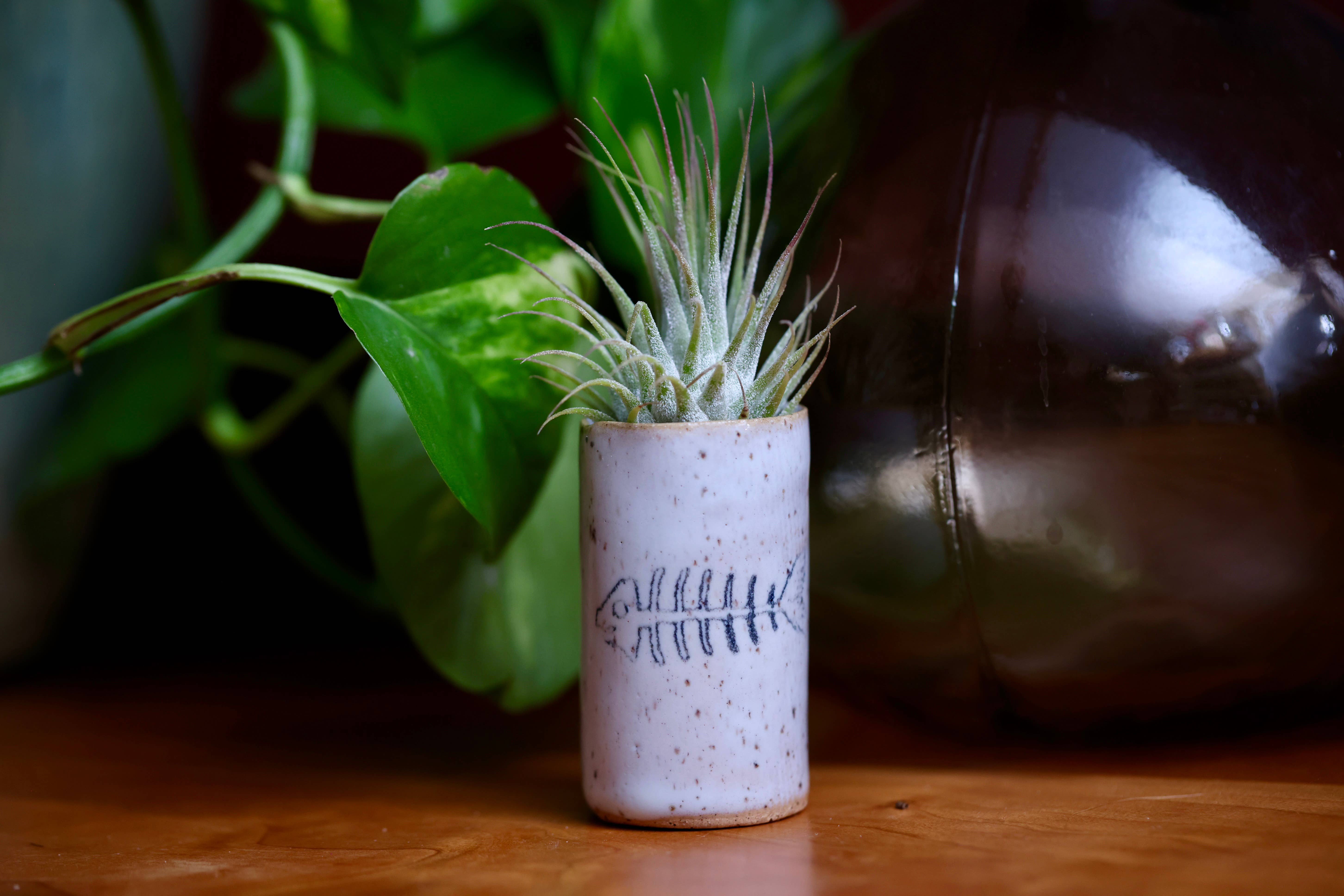 Mélange de glaçures Tiny Gobelets - Abeille en vente sur Faire2