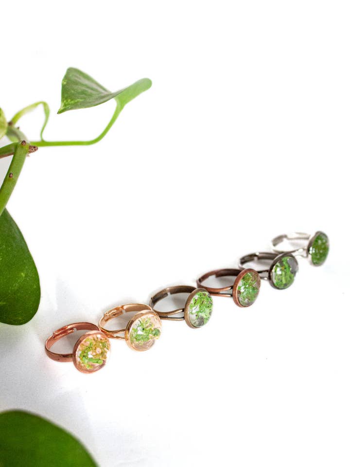 Moss Single Ring for wholesale by With Roots