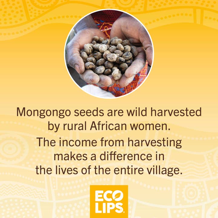 Eco Lips & Bug Soother – wholesale Lip Balm – Novelty Plastic Candy Cane + Mongo Kiss Holiday Set, 3-Count3