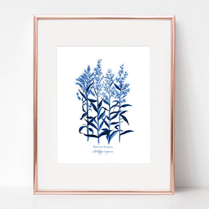 THE TRANSFIGURATION, HEAVENLY RADIANCE, Solidago virgaure, IN BLUE for wholesale by Rose Harrington