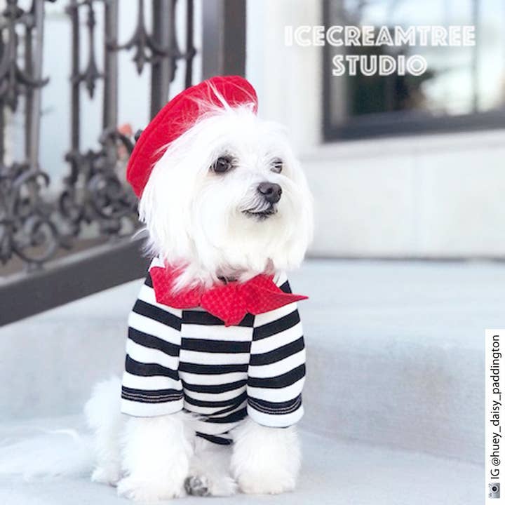 Icecreamtree Studio - Vente Déguisement – chat et chien - Ensemble look français avec foulard rouge et haut rayé noir et blanc pour chien et chat3