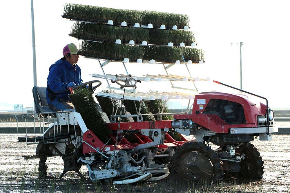 KOTO - Wholesale Yoga Mat - TATAMI YOGA MAT　NATURAL 66×185cm　6