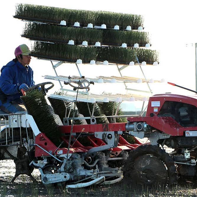 KOTO – wholesale Yoga mat – TATAMI YOGA MAT 60×180cm3