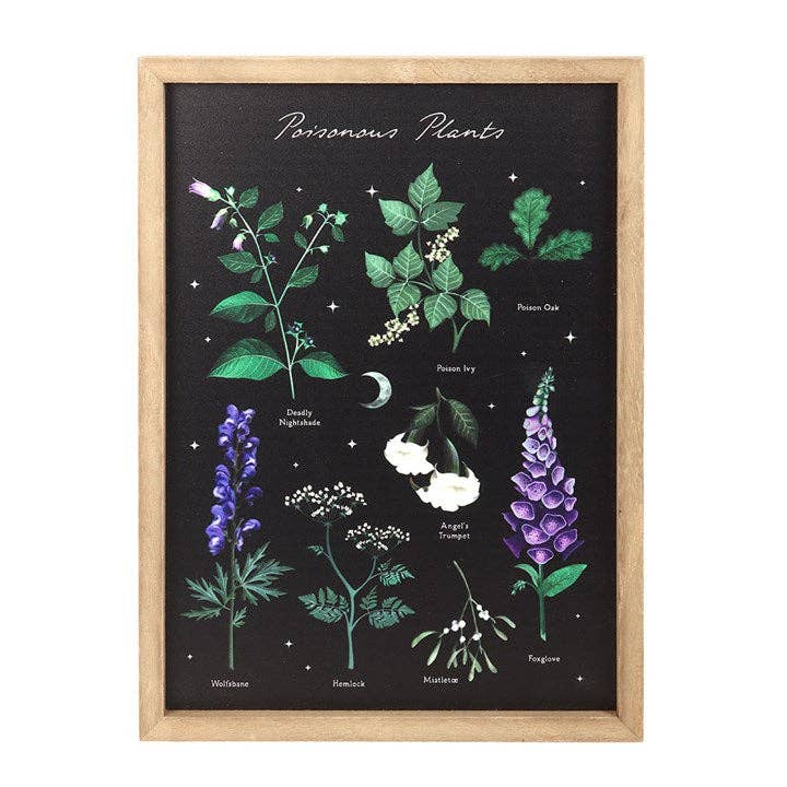 Something Different Wholesale - Vente Affiche d'art - Affiche encadrée botanique gothique des plantes toxiques1