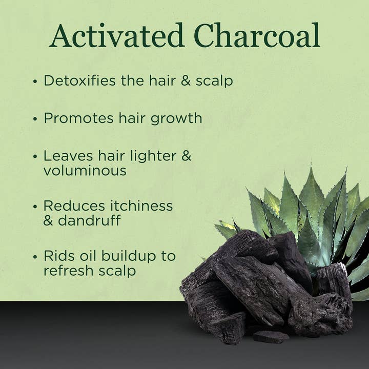 Saragan - Wholesale Hair Shampoo - Saragan Activated Charcoal Detox Shampoo Hair Care (16 oz)
