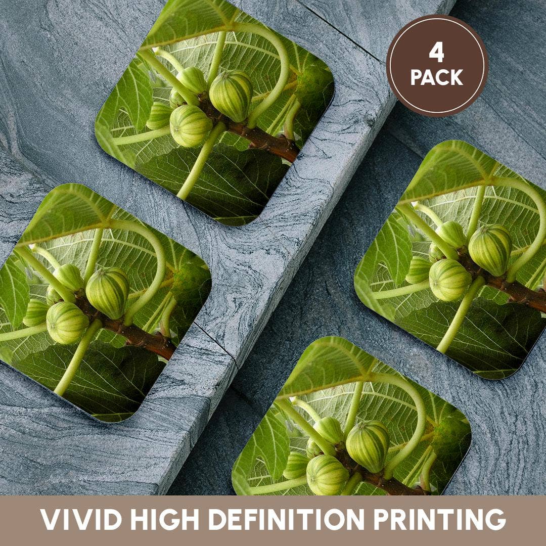 3dRose - Wholesale Coasters - 3dRose, A close up photograph of fig fruit on a common fig tree, Coaster12