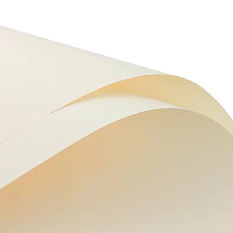 Elegant Design Supply - Wholesale Wrapping Paper Roll - Solid Color Korean Inspired Flower Wrapping Paper (20pcs/bag)20