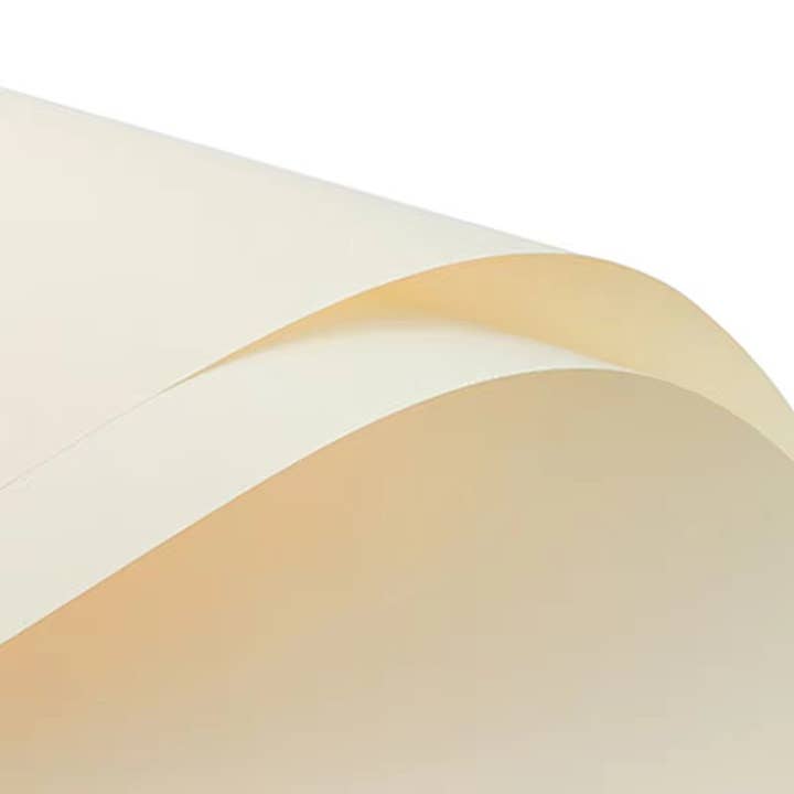 Elegant Design Supply - Wholesale Wrapping Paper Roll - Solid Color Korean Inspired Flower Wrapping Paper (20pcs/bag)20