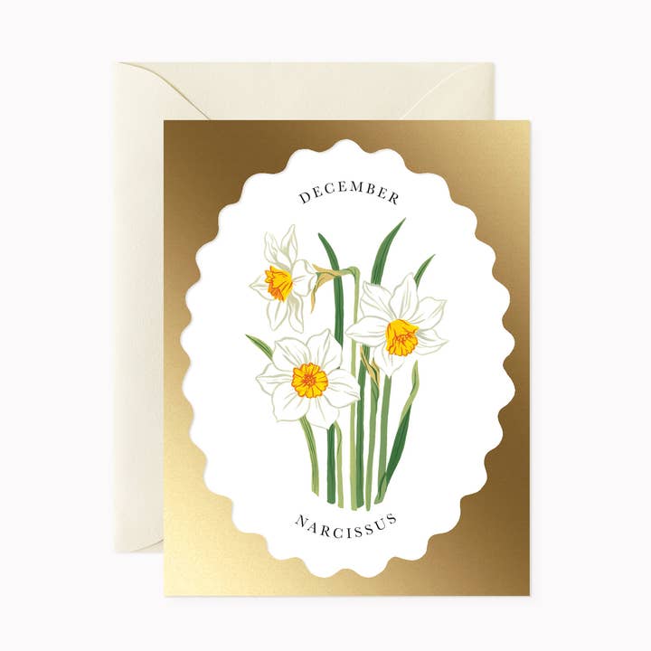 BIRTH MONTH FLOWER | DECEMBER | greeting card for wholesale by Botanica Paper Co.
