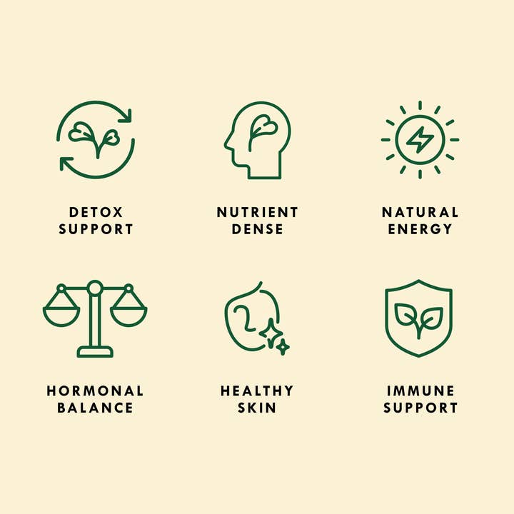 Sproutman - Wholesale Plant seeds - Organic Wheatgrass Sprouting Seed5