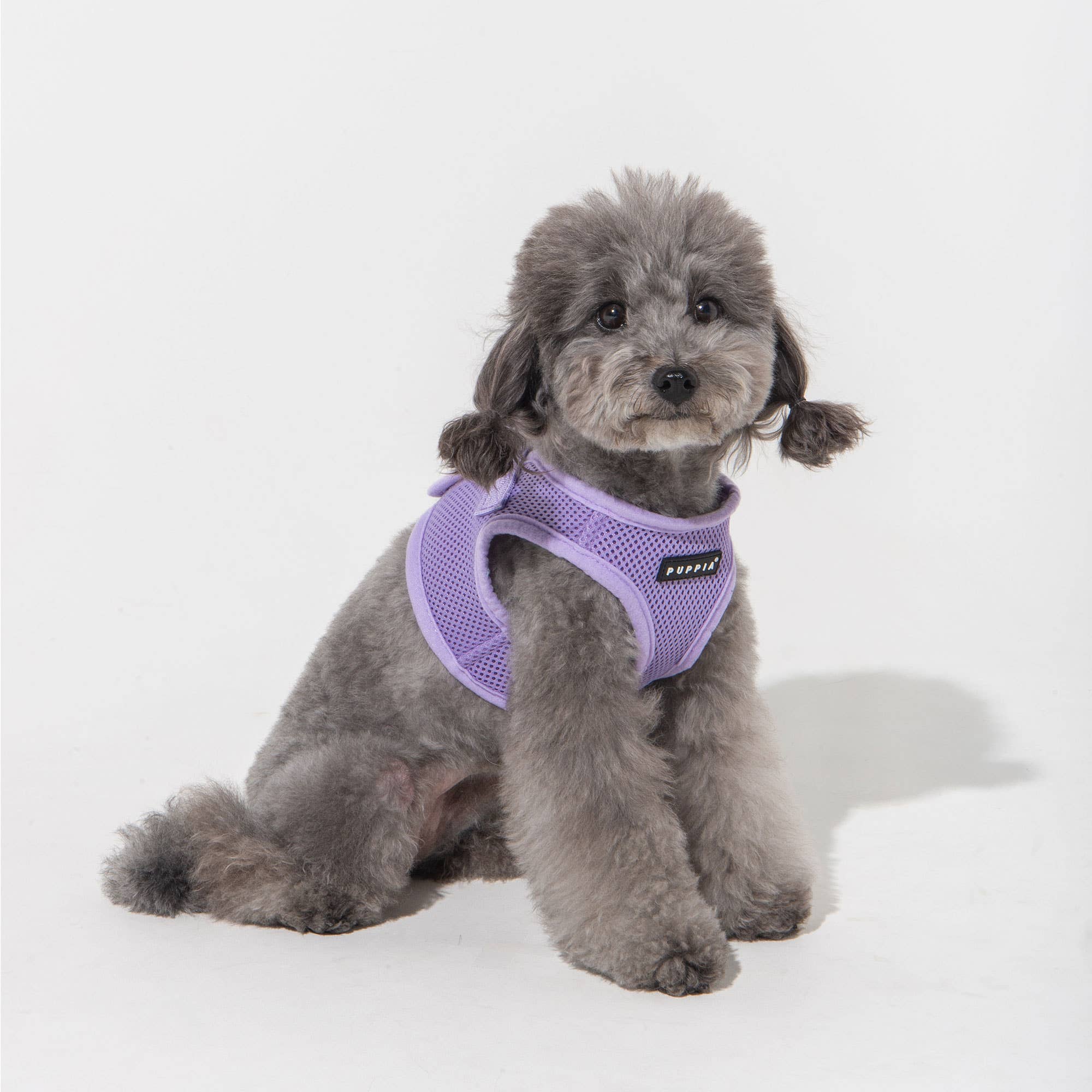 Puppia International Inc. - Vente Harnais – chien - Harnais souple pour chien Air Mesh Step-In20