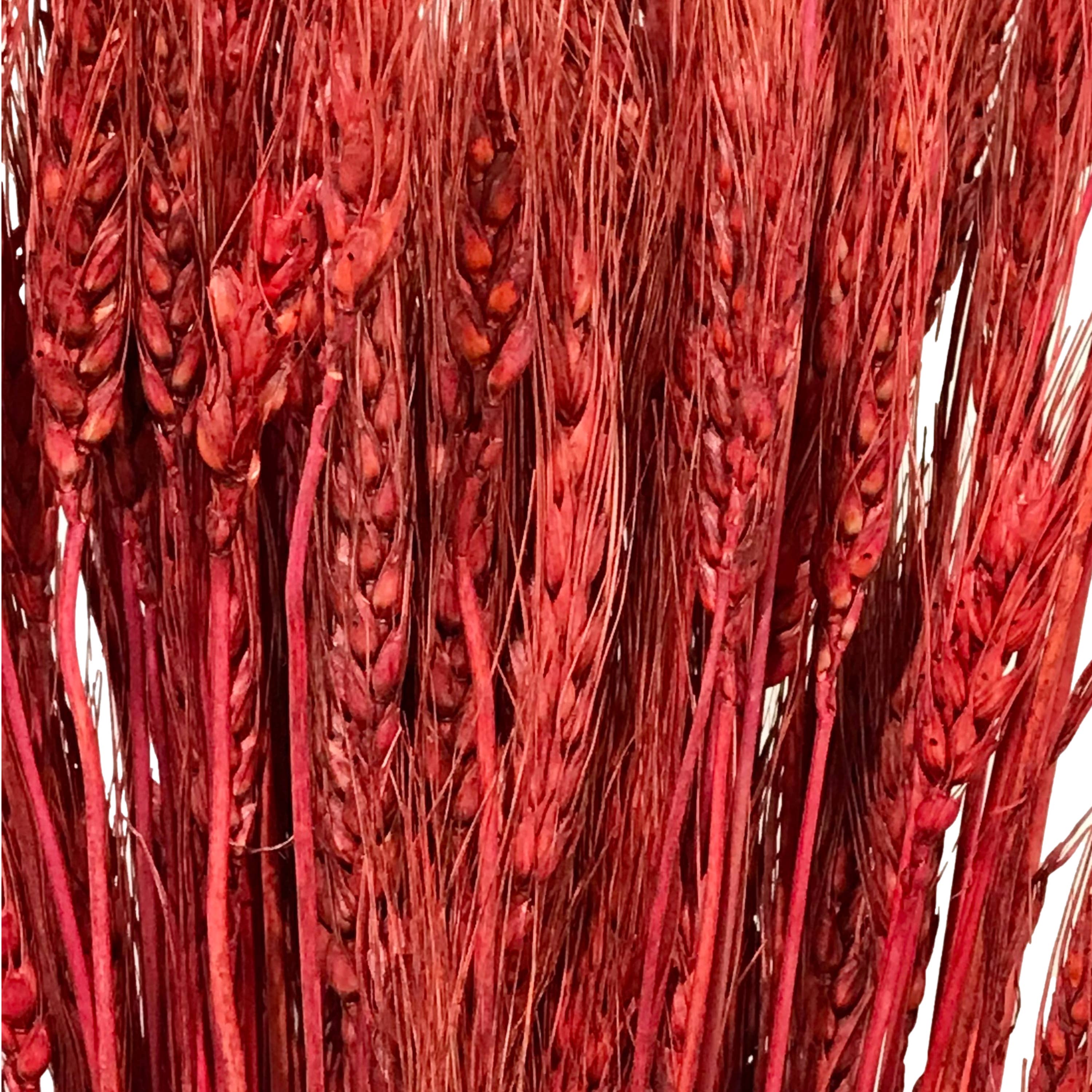 Wilco Home - Wholesale Dried/Pressed Flowers - Natural Wheat Bundle Bouquet1