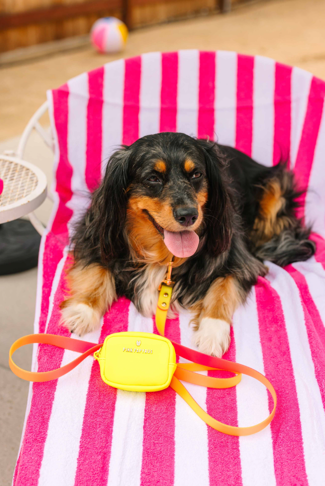 Pink Papyrus | Premium, Durable, & Stylish Dog Products – wholesale Pet poo bag dispenser – Kiki Neon Yellow Waste Bag Dispenser And Treat Pouch5
