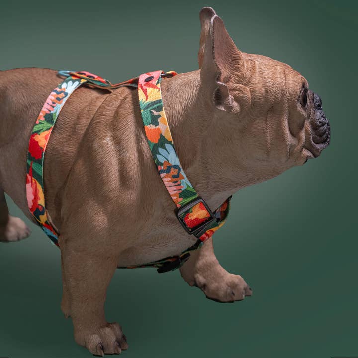 Mind the Fluff – wholesale Pet harness – Dog – Loud and Proud DOG HARNESS