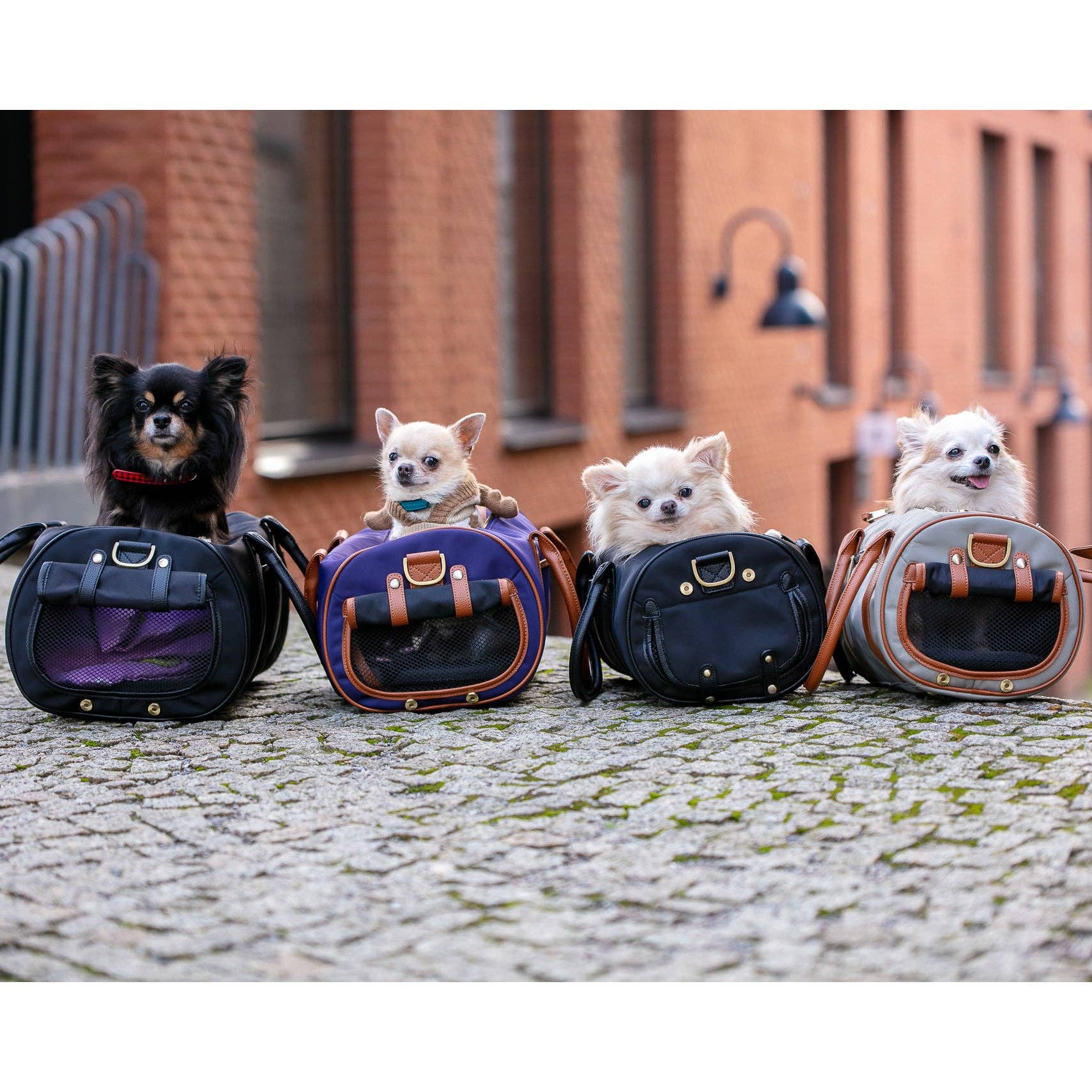 MERÏKH bags & accessories ©™ - Wholesale Pet Carrier - Cat/Dog - Airline approved Pet Carrier L - Black18