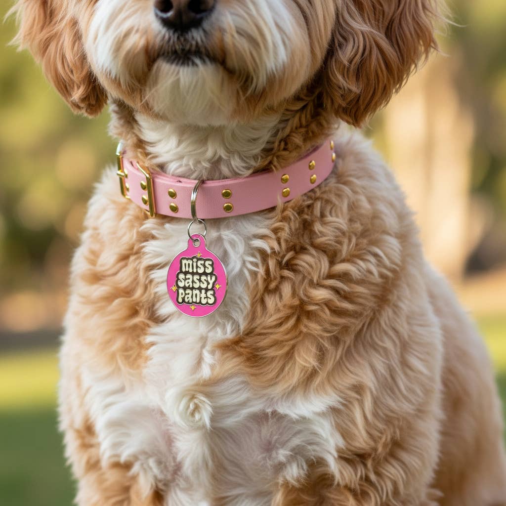 Bad Tags - Wholesale Pet Identification Tag - Dog - Dog ID Tag with Personalized QR Code - Miss Sassy Pants7
