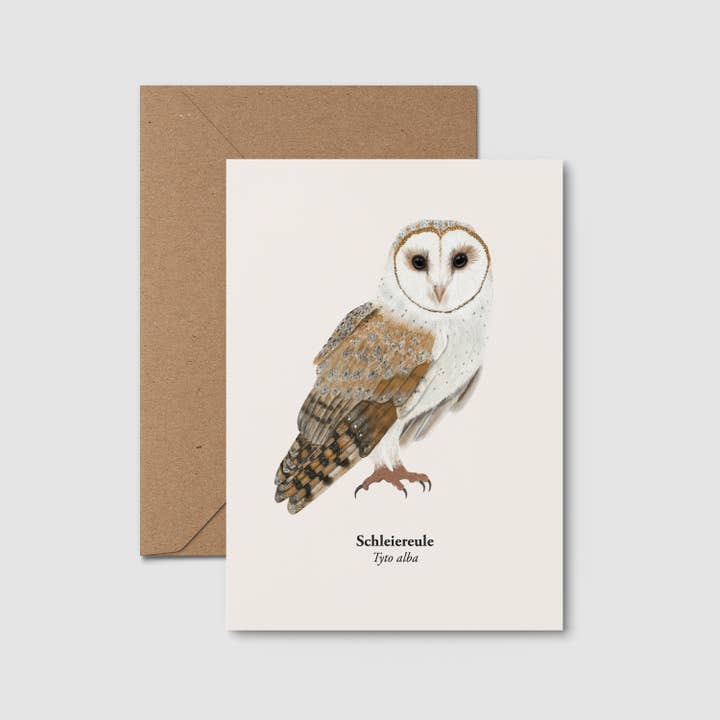 Tarjeta postal de búho, tarjeta de felicitación con dibujo de búho para venta al por mayor de Terillu