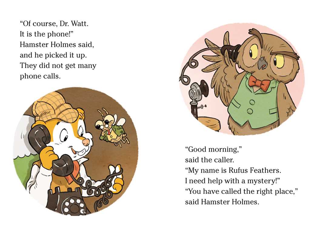 Simon & Schuster - Wholesale Early Reader Book (6-8) - Hamster Holmes, A Bit Stumped by Albin Sadar1