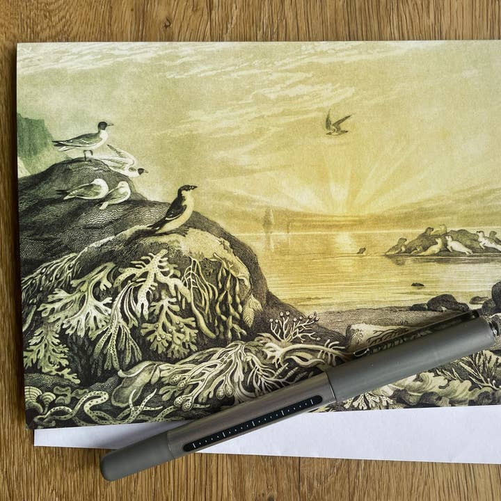 Coastal Scene Greetings Card for wholesale by Ninaskadesigns